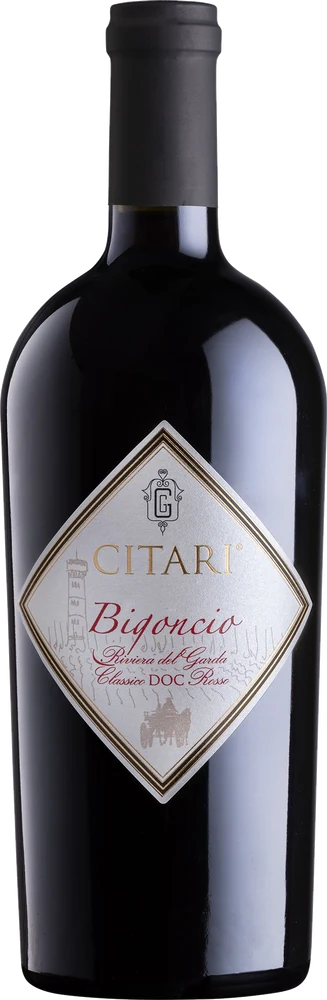 Bigoncio