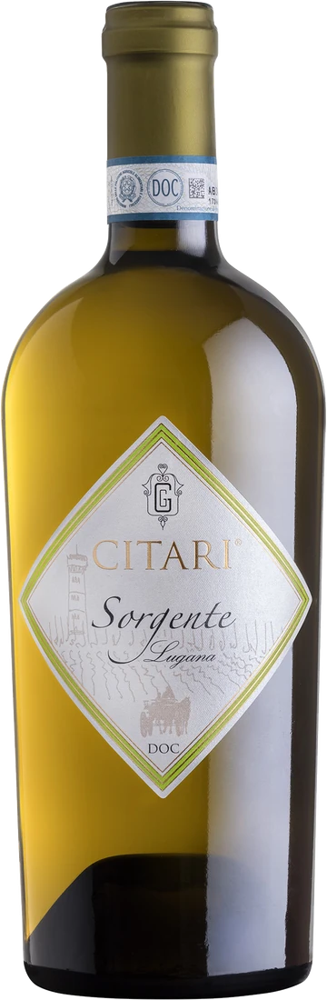 Sorgente